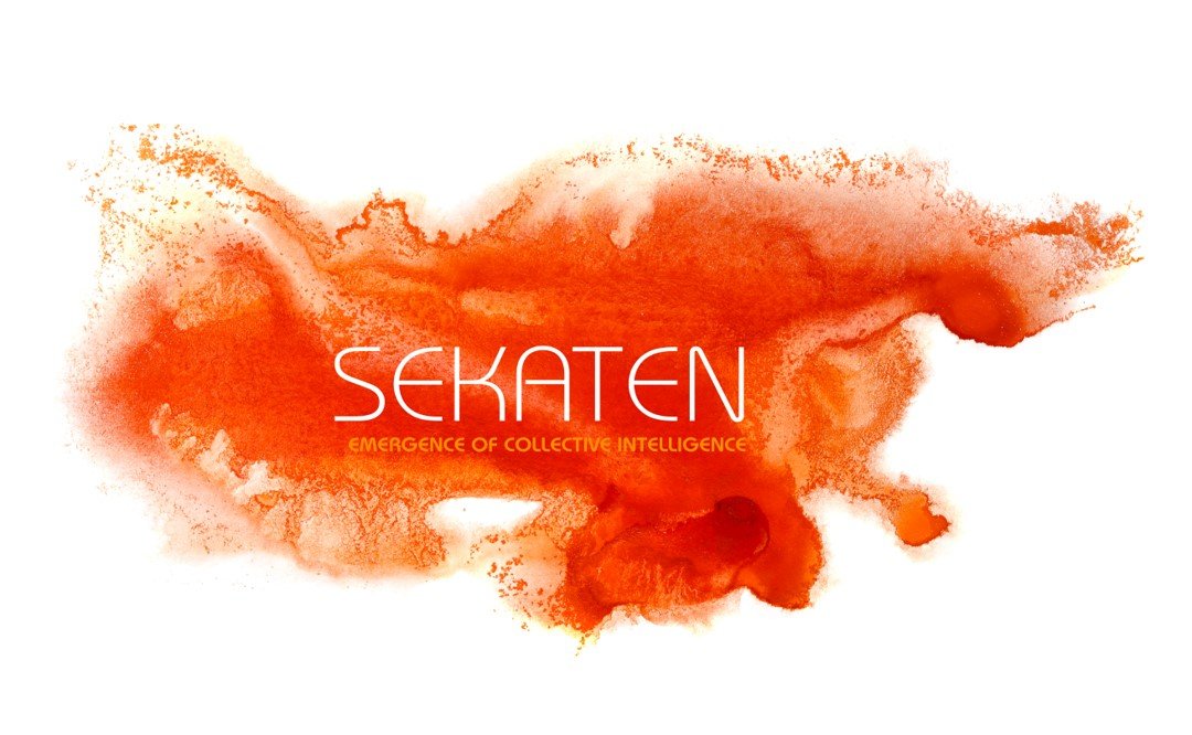 Sekaten - Emergence of collective intelligence