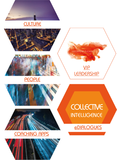 Emergence of Collective Intelligence: Culture, People, VIP Leadership, Coaching App, eDialogues